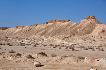 Israel. Desert Negev. Landscape on the way from Jerusalem to Eilat