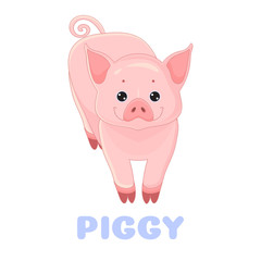 Piggy flashcard. Cute pig. Vector illustration for kids education and child reading skills development. Sight Words Flash Cards For children to learn read and spell.