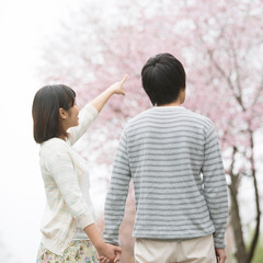 桜を見上げるカップル