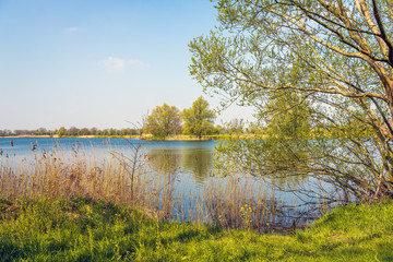 At the edge of a lake
