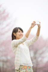 スマートフォンで桜の写真を撮る女性