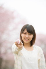 桜を持ち微笑む女性の手元