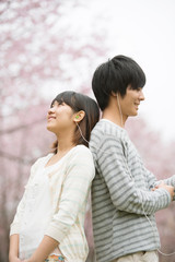 Obraz premium 桜の前で音楽を聴くカップル