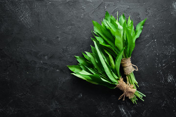 Fresh wild garlic leaves on black background. Wild leek. Top view. Free space for your text. - Powered by Adobe