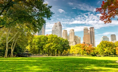 Photo sur Plexiglas Central Park Belles couleurs de feuillage de New York Central Park