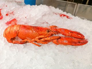 Lobster on the ice In the supermarket