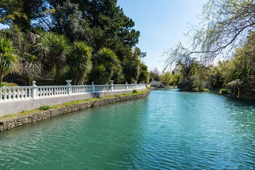 Russia city of Sochi Adler district park Southern cultures. Pond with reflection of trees.