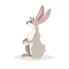 Cute cartoon rabbit stand and listening. Flat comic style farm animal drawing. Easter spring symbol. Vector illustration with shadow isolated on white background.
