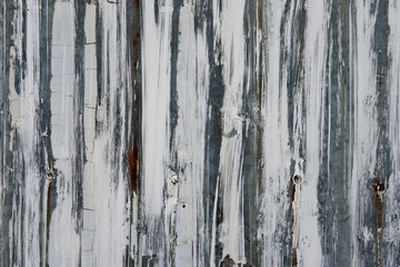 Obraz premium old grunge rustic metal sheet background