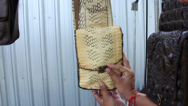 bag of leather snake skin