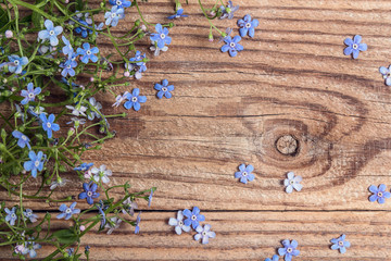 Forget-me-not flowers border on wooden table.