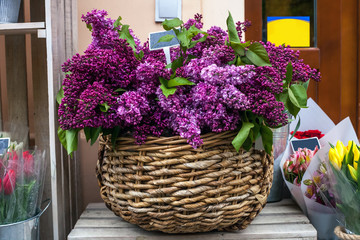 Fototapeta na wymiar Wicker basket with bouquet of purple lilacs and tulips in flowers shop