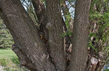 Cayuhoga Valley National Park