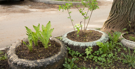 old car tires can be used as flower beds, fences, and not only