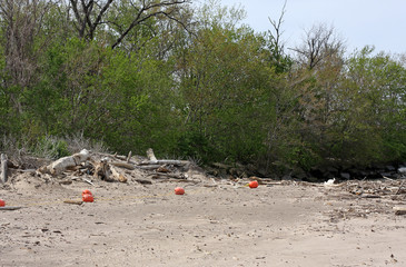 Beach in America