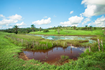 Lago, paisagem 