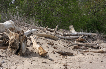 Beach in the US