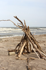 Fototapeta premium driftwood on the beach at Nickel Plate Beach Ohio