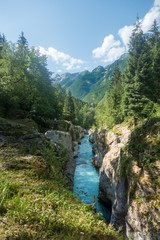 Fototapeta na wymiar Turquoise river path with rocks, grass, forest and Julian Alps in background, Slovenia