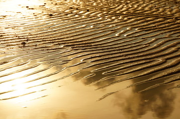 ripples in the sand