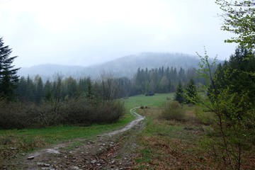 Fototapeta na wymiar Mountains Beskid Żywiecki in the fog and the rain