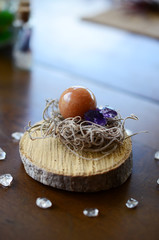 Adorable fairy themed crystal display. Healing crystals with plants. Orange Aventurine on top of mossy nest with amethyst, and clear quartz chips. Witch nature alter, small charming crystals. 