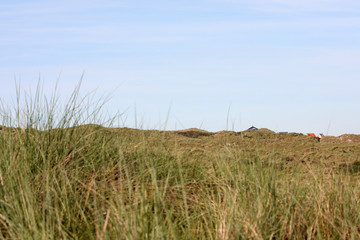 Obraz premium Dunes at Terschelling