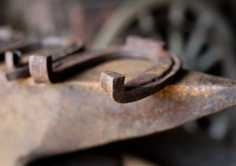 horseshoe on the anvil