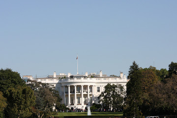 Obraz premium white house in washington dc