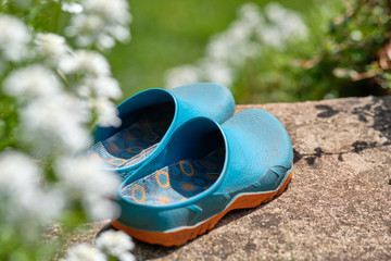 A pair of colorful gardening shoes is standing in the bright sun behind some beautiful white springtime flowers in full bloom on the first step of  concrete stairs