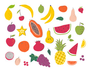 Fruits hand draw illustration set