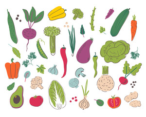 Vegetables hand draw illustration set
