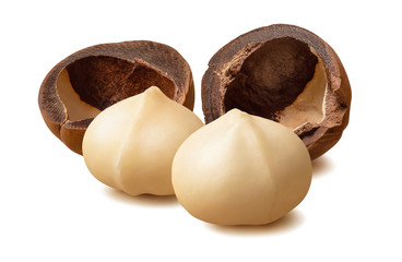 Peeled macadamia nuts and empty nutshells isolated on white background. With clipping path - obrazy, fototapety, plakaty