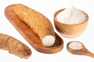 Manihot esculenta (cassava, yuca, manioc, mandioca, Brazilian arrowroot)