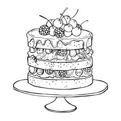 Hand drawn cake with berries. Vector sketch  illustration.