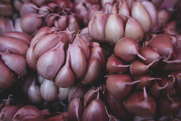 Purple Garlic Cloves at Market in Mexico City (Matte)