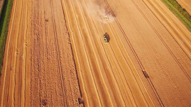 Aerial/Drone footage of a combine harvester, assisted by a tractor, gathers wheat in a British field.