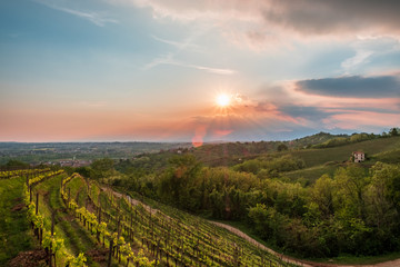 Evening storm in the vineyards