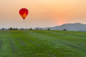Fototapeta premium hot air balloon over the field at sunset mountain