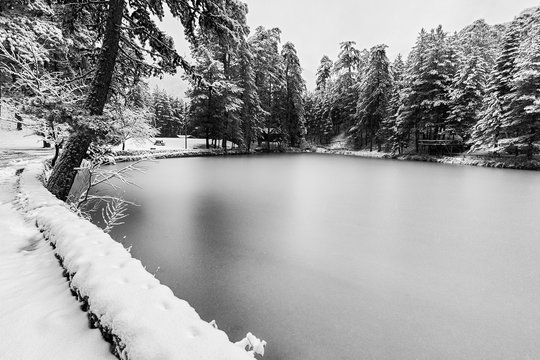 Frozen lake and trees covered with snow in the forest on a cold winter day. Winter landscape