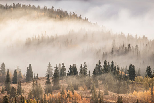 Scenic view of mountain covered with fog in San Juan National Forest