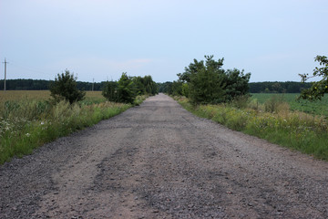 An abandoned, broken road to the native village.