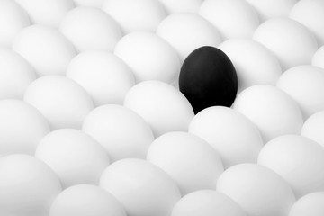 Black egg standing out from the crowd of white eggs. Diversity concept.