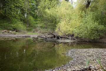 Shallow lake in the rural wilderness. The effects of drought led to the shallowing of the lake.