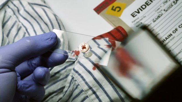 Police expert examines blood in a button of a shirt the scene of a crime