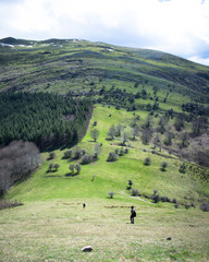 Trekker in scenic mountain and forest