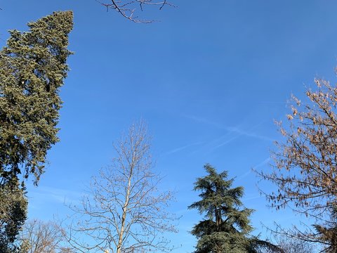 Ciel