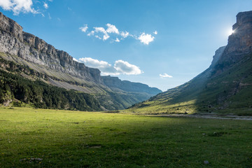 Sun shining over glacier valley with green grass and forests in background