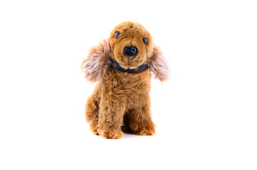 Animal toy : Dog brown doll isolated on white background.
