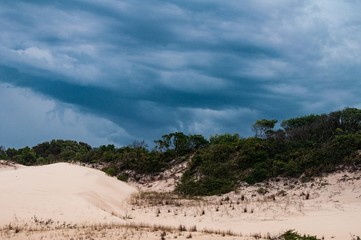 Stormy weather in the beach sands with forest